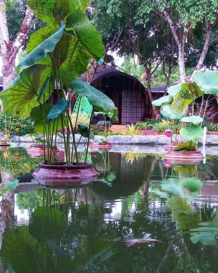 Con Khuong Resort Кантхо Экстерьер фото